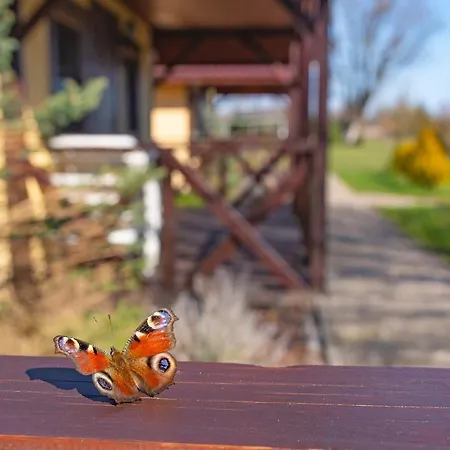 Casa de hóspedes Przyjazna Osada - I 3*