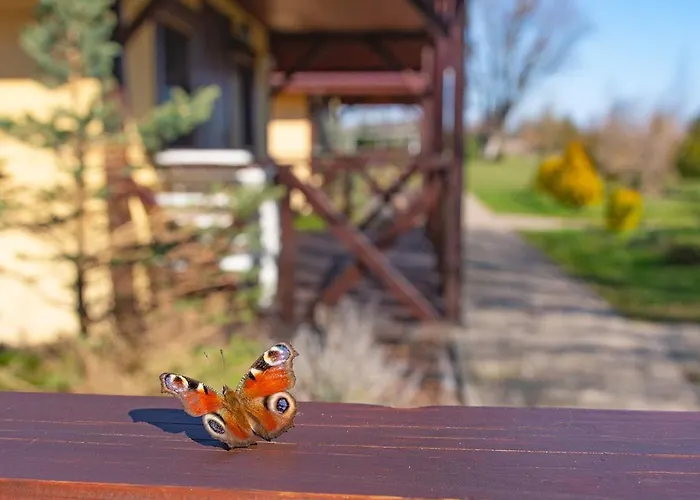 Pensión Przyjazna Osada - I 3*